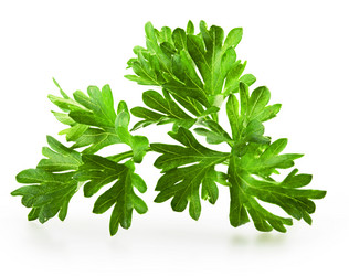 Similar image 6339062