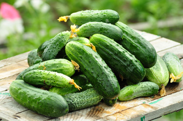 Similar image 6339097