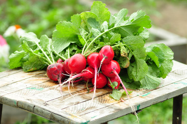 Similar image 6339098