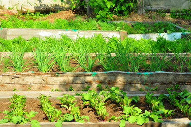 Similar image 6339099