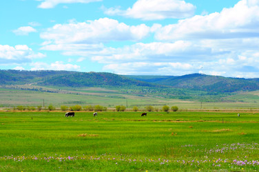 Similar image 6339102