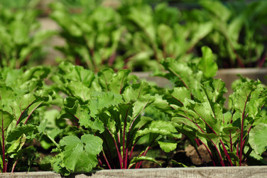 Similar image 6339104