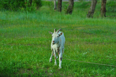 Similar image 6339111