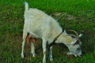 Similar image 6339112