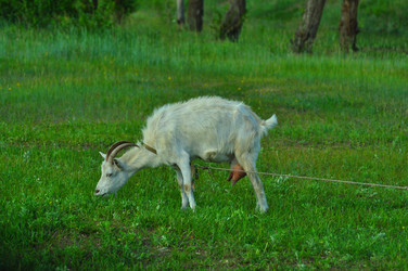 Similar image 6339113