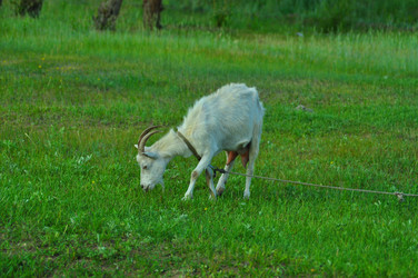 Similar image 6339114