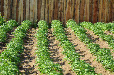 Similar image 6339116