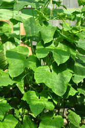 Similar image 6339117