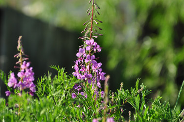 Similar image 6339118