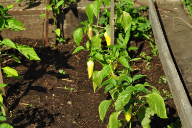 Similar image 6339120