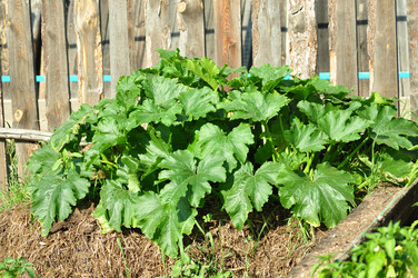 Similar image 6339121