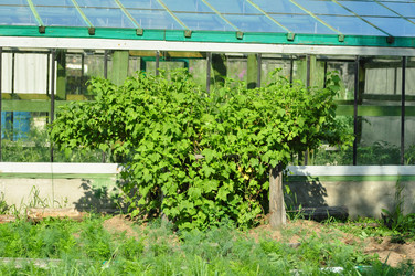 Similar image 6339122