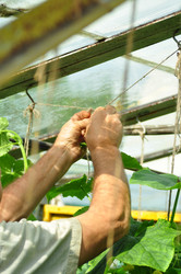 Similar image 6339124