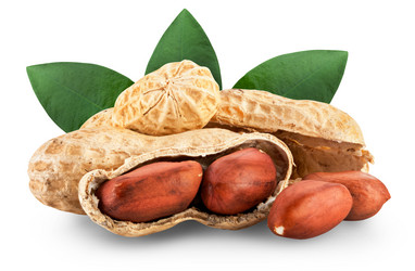 Similar image 6339377