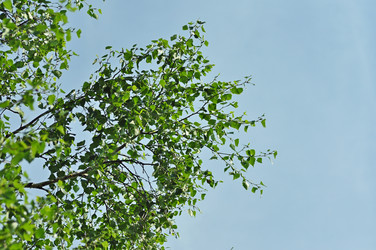 Similar image 6339443