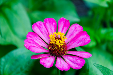 Similar image 6339444