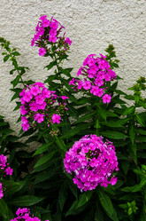 Similar image 6339445