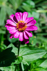 Similar image 6339448