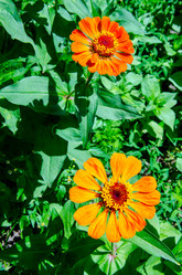 Similar image 6339449