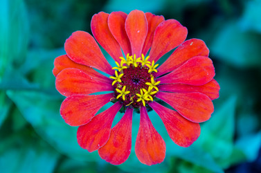 Similar image 6339450