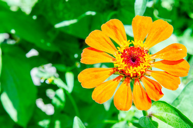 Similar image 6339451