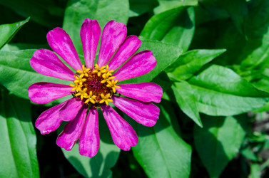 Similar image 6339452