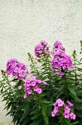 Similar image 6339453