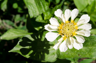 Similar image 6339454