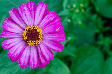 Similar image 6339455