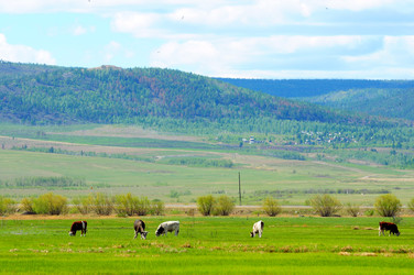 Similar image 6339459