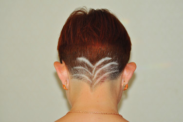 Similar image 6339460