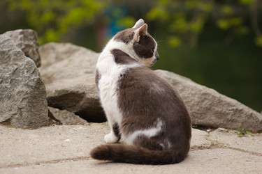 Similar image 6339468