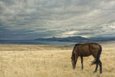 Similar image 6339469