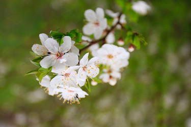 Similar image 6339476