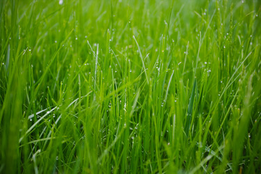 Similar image 6339483