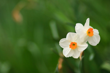 Similar image 6339484