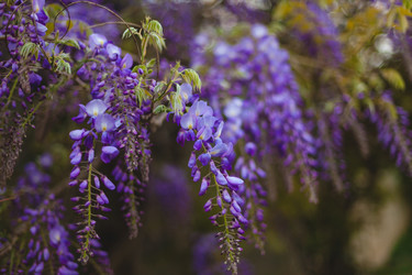 Similar image 6339499