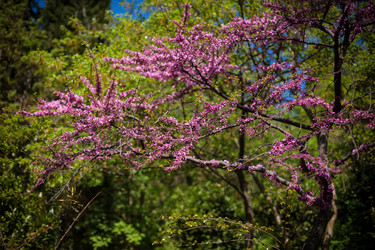 Similar image 6339500