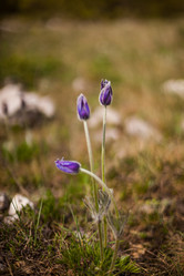 Similar image 6339502