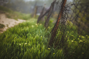 Similar image 6339503