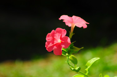 Similar image 6339547