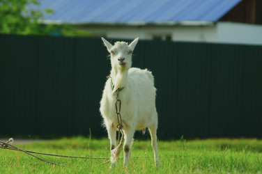 Similar image 6339549