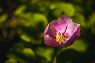 Similar image 6339551