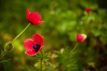 Similar image 6339556