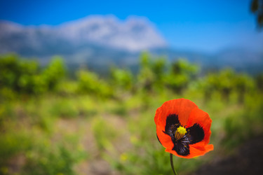 Similar image 6339557