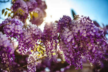 Similar image 6339558