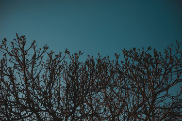 Similar image 6339560