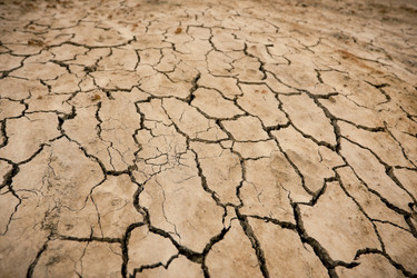 Similar image 6339561