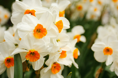 Similar image 6339563