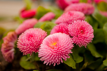 Similar image 6339564